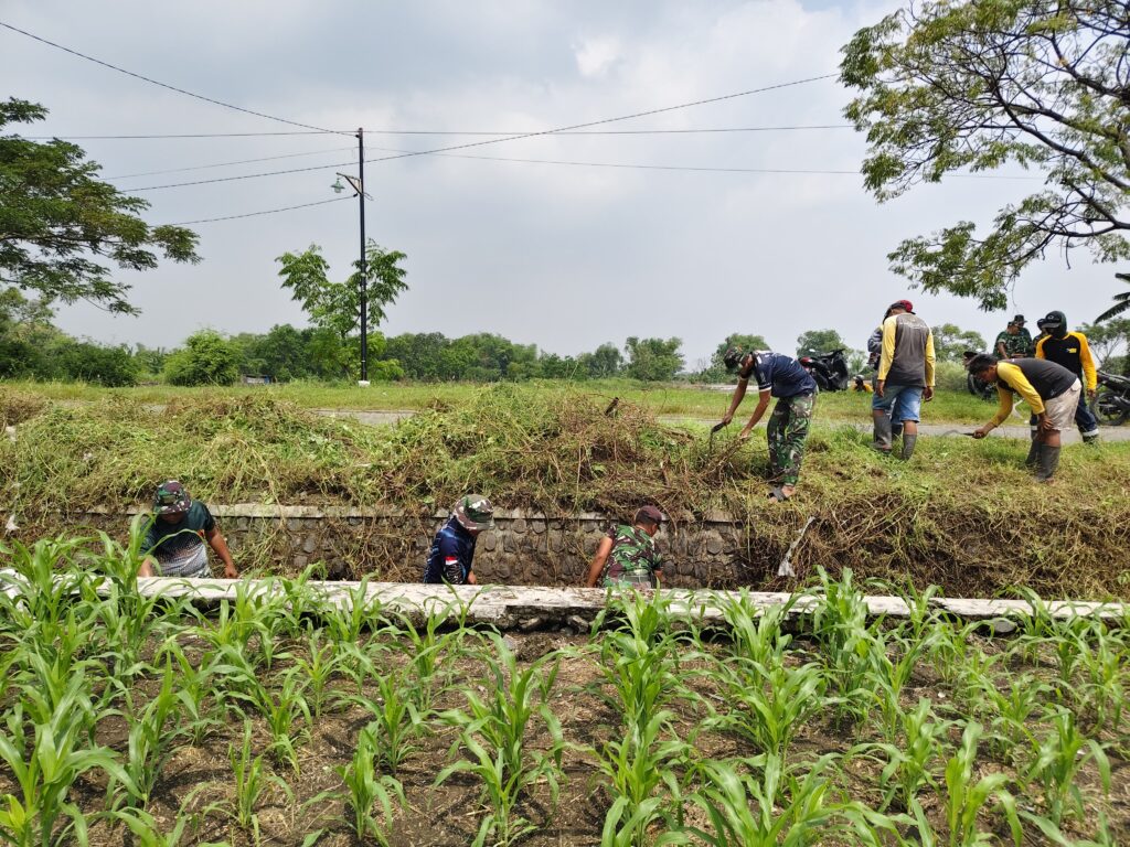 TMMD ke-128 Slempit Percepat Normalisasi Irigasi, Warga Antusias Gotong Royong