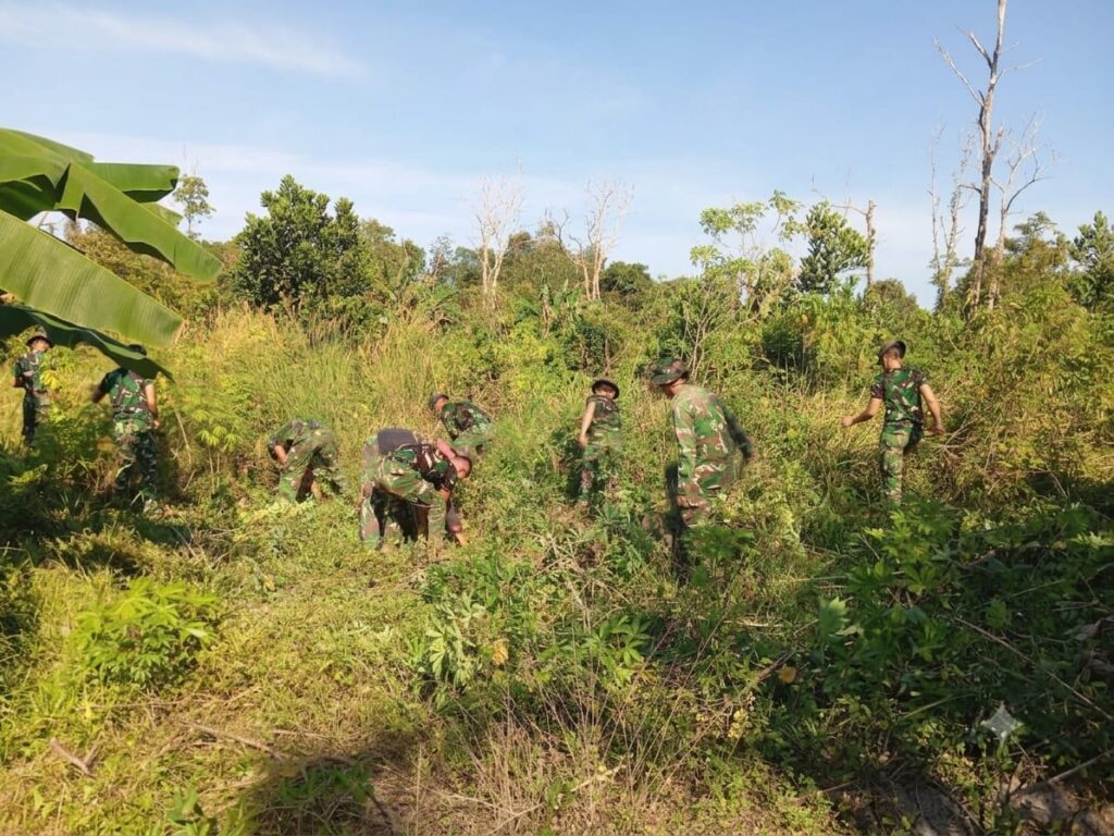 Akselerasi Ketahanan Pangan, Satgas TMMD ke-129 Kodim 0413/Bangka Mulai Buka Lahan Hanpangan di Hari Ke-4