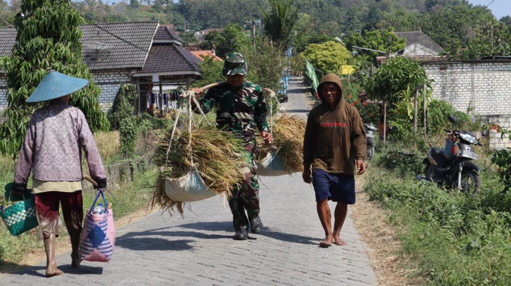 Satgas TMMD Ke-129 Kodim 0812/Lamongan Ringankan Beban Petani Saat Musim Panen