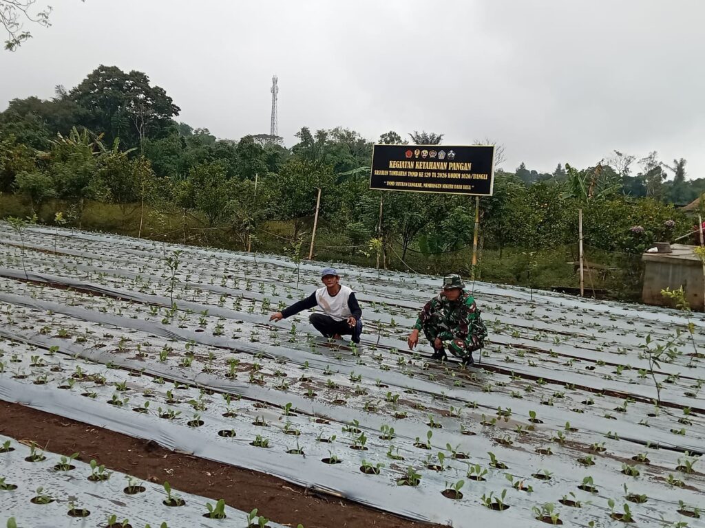 Program Ketahanan Pangan TMMD Bangli Dorong Warga Manfaatkan Lahan Produktif