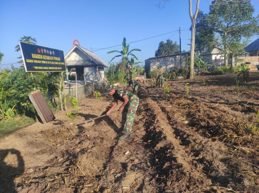 Gotong Royong Satgas TMMD dan Warga Siapkan Lahan Pakcoy di Desa Sekardadi