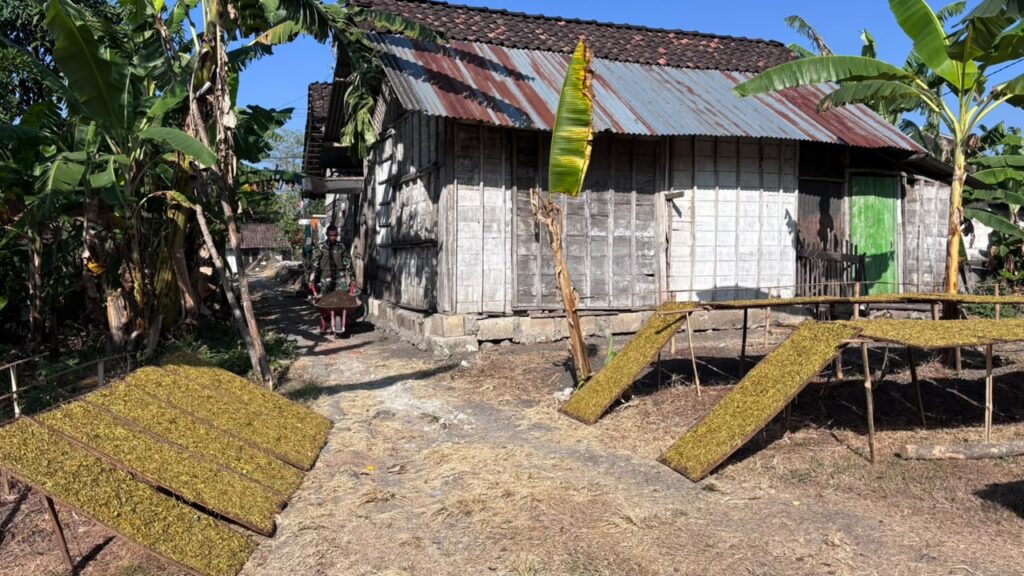 Awal Pembangunan RTLH Ibu Jasmiati oleh Satgas TMMD Ke-129