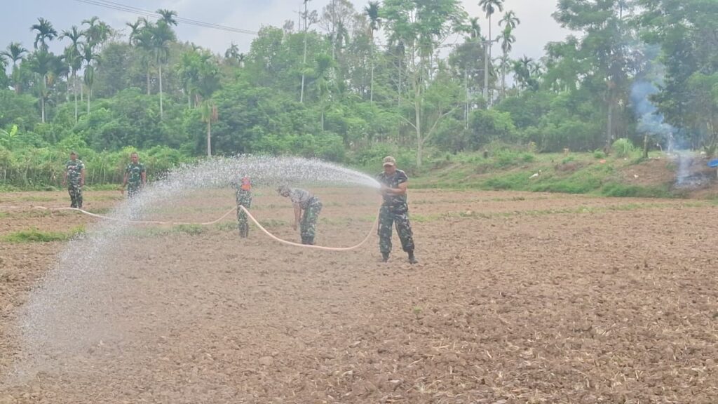Inovasi Satgas TMMD Kodim 0102/Pidie Dalam Ketahanan Pangan Meski Cuaca Panas
