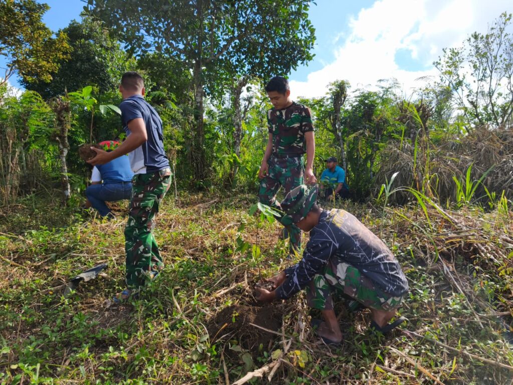 Kerjasama TMMD dan Mahasiswa dalam Penanaman Mahoni di Sekardadi