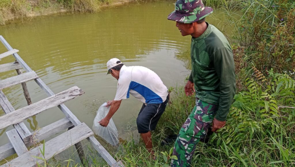 Mendorong Ekonomi Melalui Perikanan, Satgas TMMD Ke-129 Serahkan Bibit Ikan di Kapuas Hulu