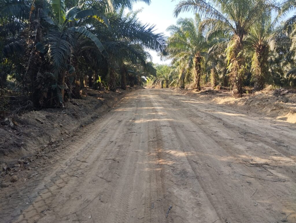 Jalan Deniang-Penyamun Selesai Dikerjakan, Akses Desa Makin Baik