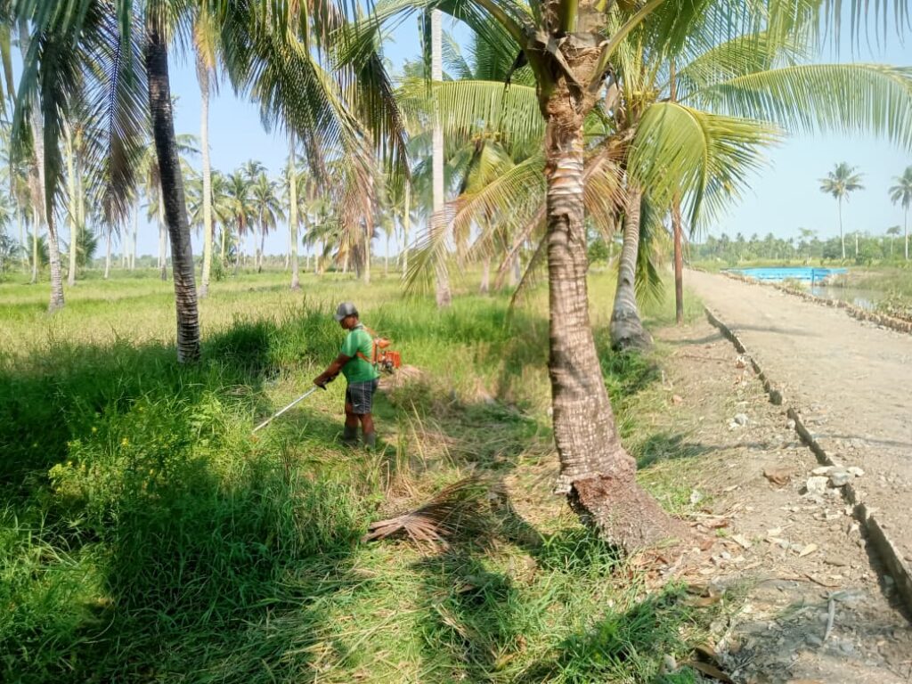 TMMD ke-129: Membangun Jalan Sambil Menjaga Kebersihan Lingkungan