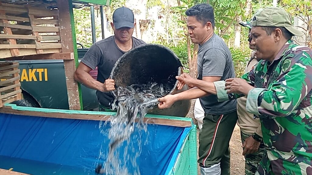 TMMD ke-129: Penyerahan Bibit Ikan Lele dan Ayam Petelur di Program Rehabilitasi RTLH