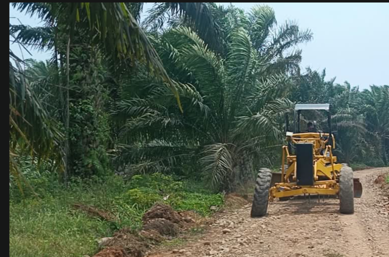 Membangun Jalan Baru di Bengkulu: Koneksi yang Mendorong Pembangunan Lokal